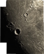 TN 1955 1957 2000 2001 2004